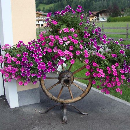 Haus Schnepfleitner Apartment Dorfgastein Bagian luar foto