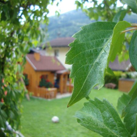 Haus Schnepfleitner Apartment Dorfgastein Bagian luar foto