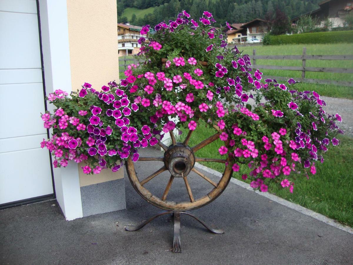 Haus Schnepfleitner Apartment Dorfgastein Bagian luar foto