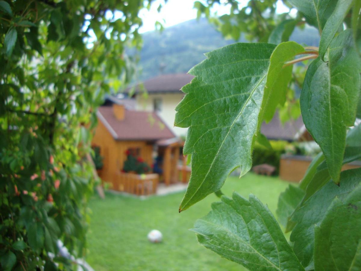 Haus Schnepfleitner Apartment Dorfgastein Bagian luar foto